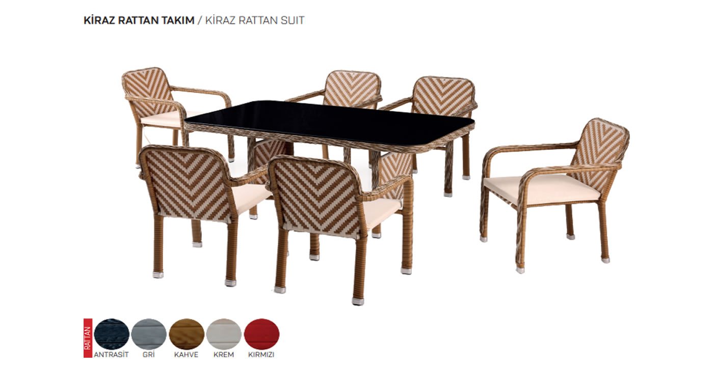 Rattan Tisch Stuhl